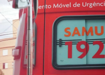Professor morre atropelado por caminhão na BR 343 em Campo Maior